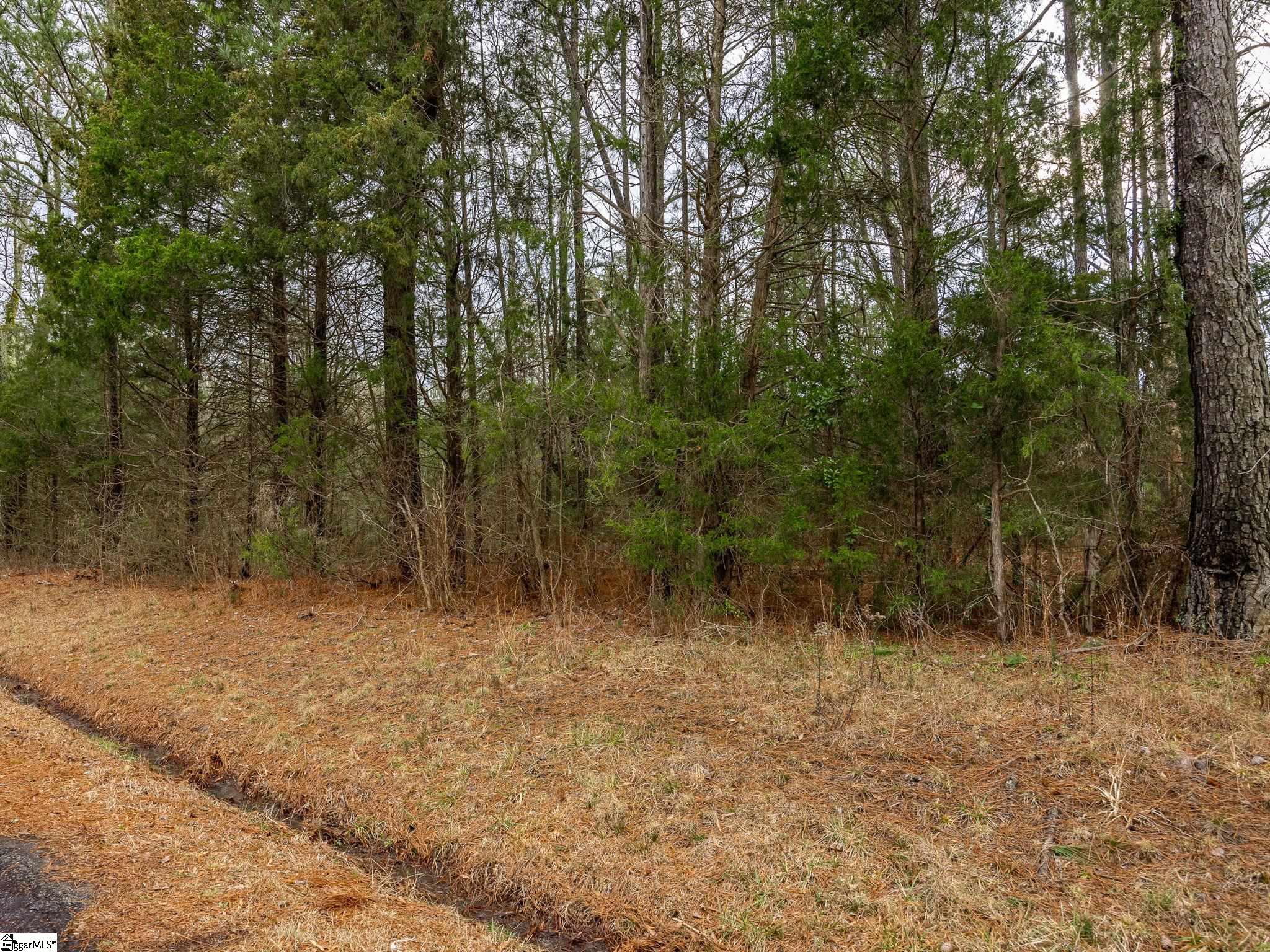 Cox Road Troy, SC 29848 - Photo 6 of 17