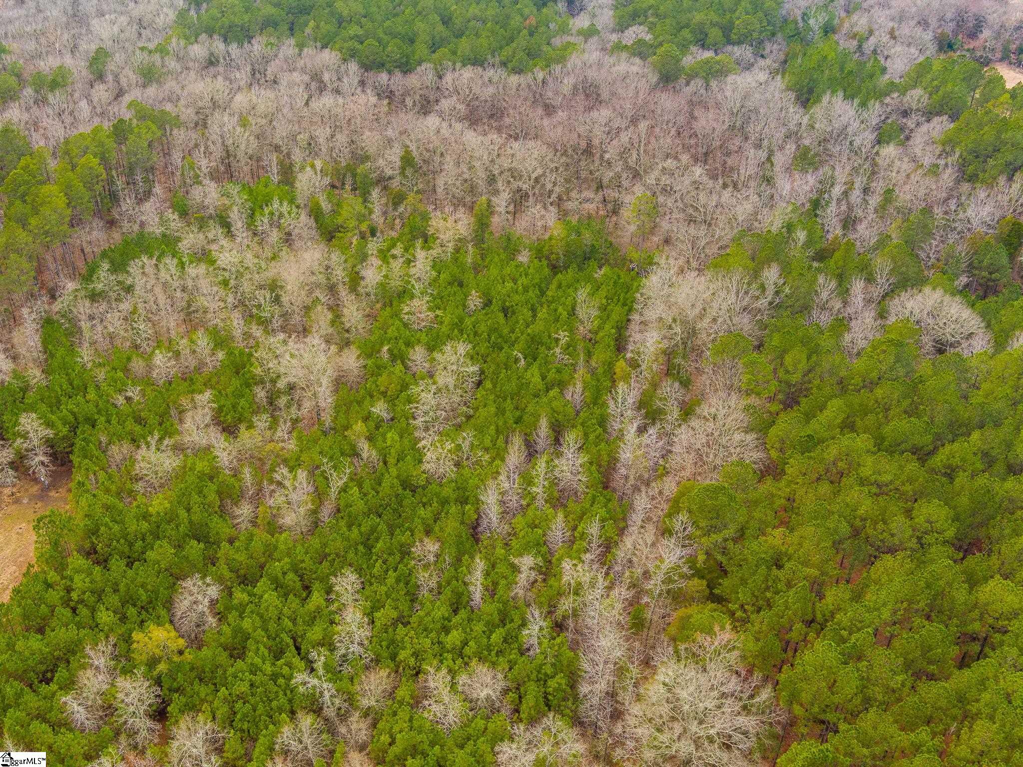 Cox Road Troy, SC 29848 - Photo 8 of 17