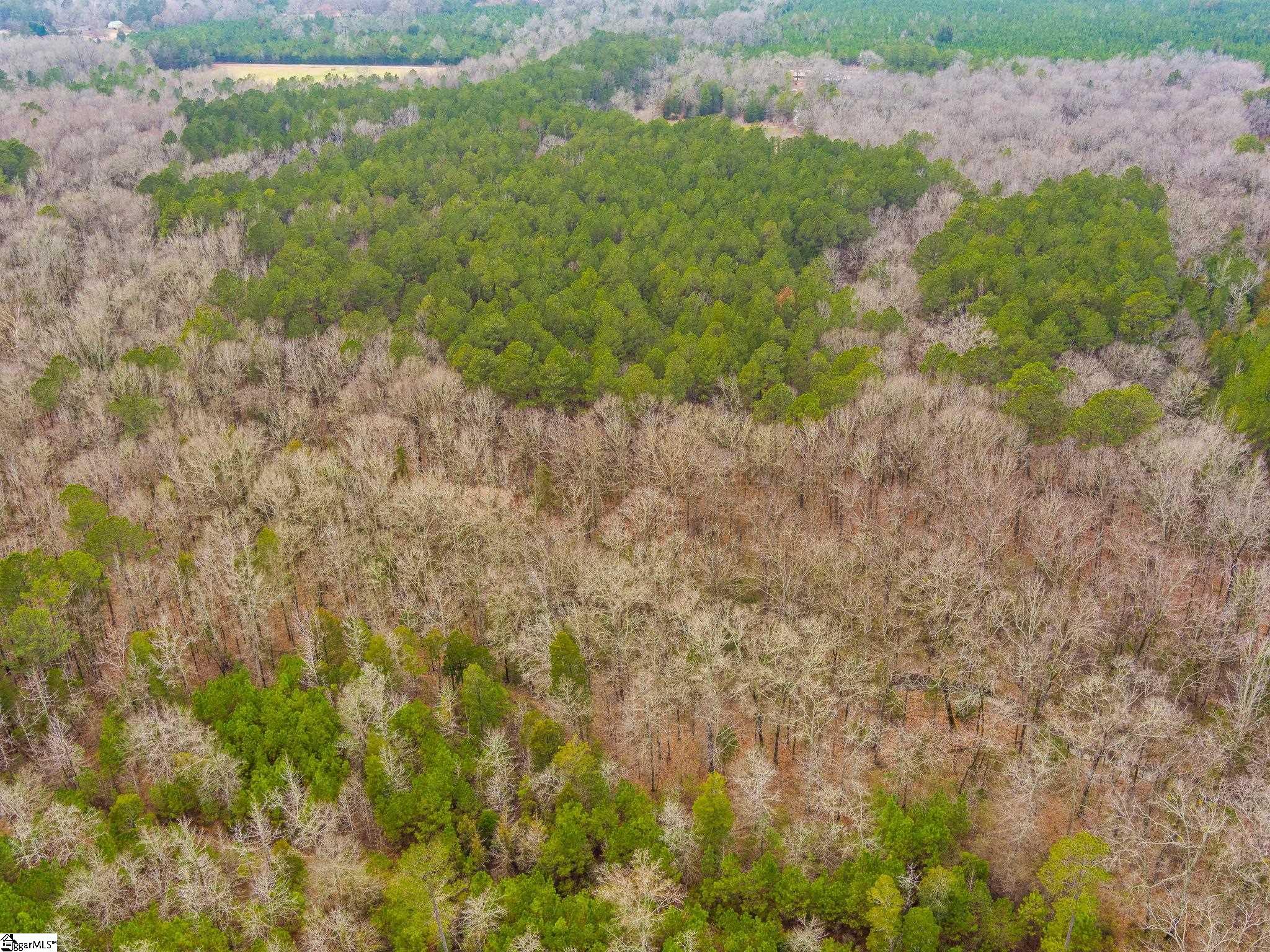 Cox Road Troy, SC 29848 - Photo 9 of 17