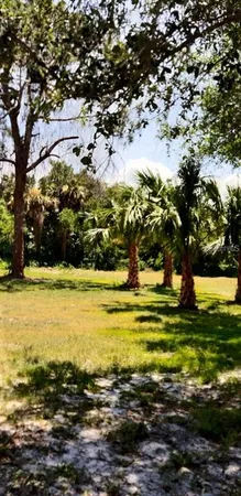 a view of a yard with a tree