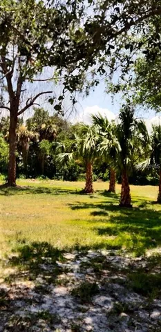 a view of a yard with a tree