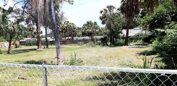 a view of yard with tree