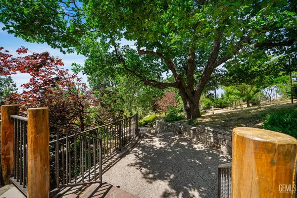a view of a yard with plants and large trees