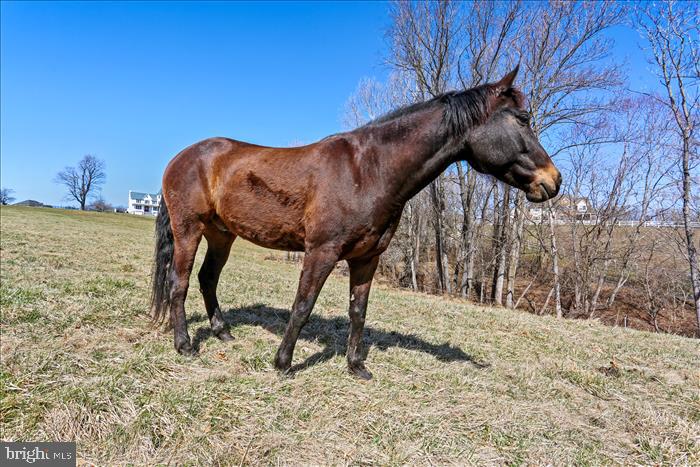 9333 Watkins Road Gaithersburg, MD 20882 - Photo 56 of 65