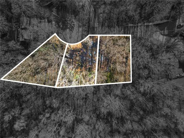 an aerial view of forest