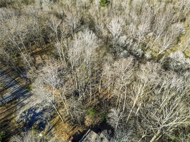a view of a tree with a tree
