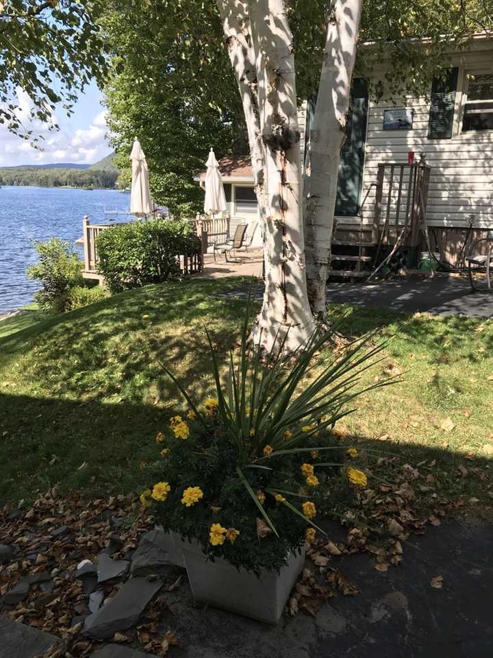 1674 Peacham Pond Road Peacham, VT 05658 - Photo 5 of 15 Gallery Image 5