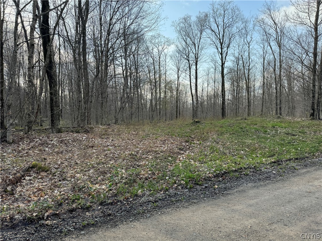 0 Goodhines Road West Leyden, NY 13489 - Photo 1 of 1 Gallery Image 1