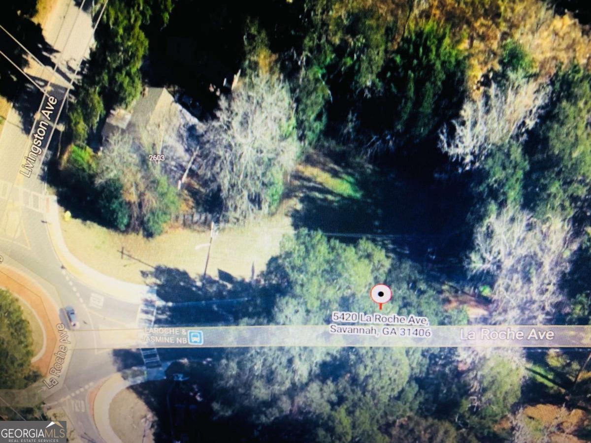 5404 La Roche Avenue Savannah, GA 31406 - Photo 2 of 2 a view of a backyard of the house