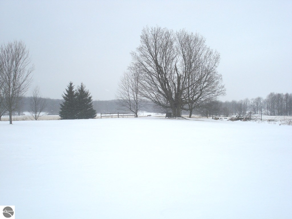 7624 Timber Ridge Way Blanchard, MI 49310 - Photo 53 of 57 1779784-52.JPG