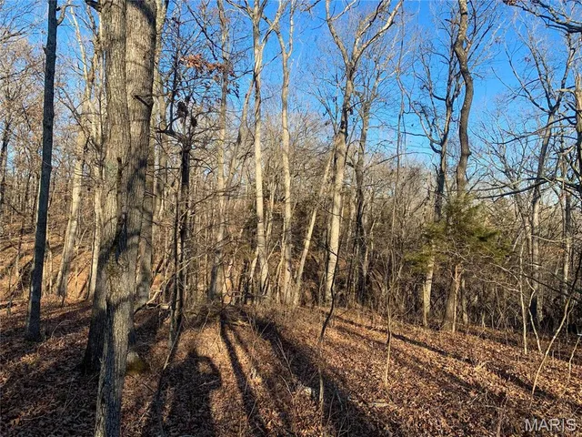 $578,680 | 31-acres Polston Lane, Marthasville, MO 63357