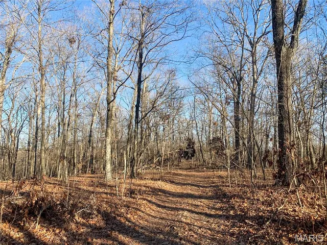 $578,680 | 31-acres Polston Lane, Marthasville, MO 63357