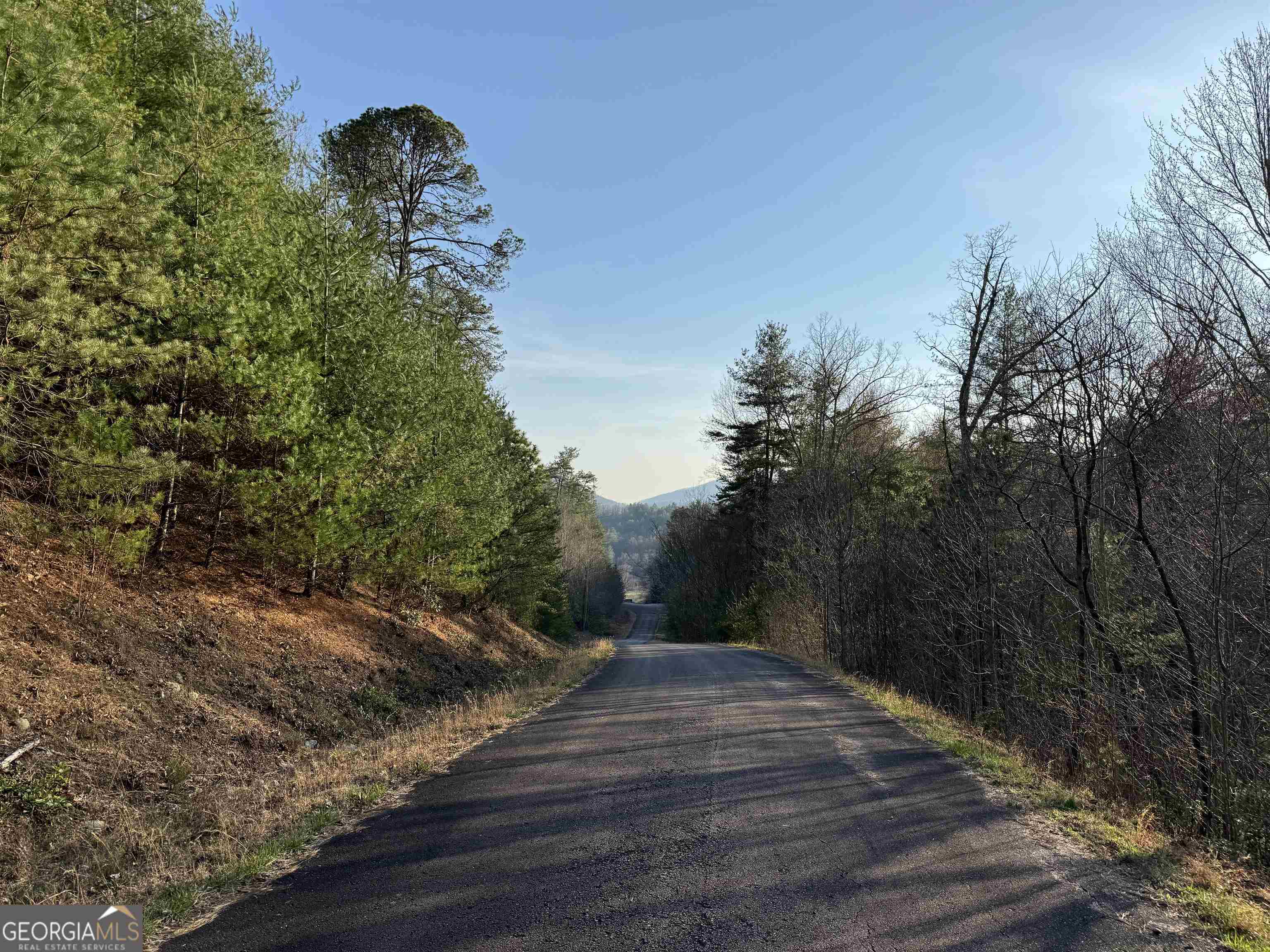 Lot 35 Mountain Ridge Drive, Unit LOT 35 Rabun Gap, GA 30568 - Photo 1 of 1 Gallery Image 1
