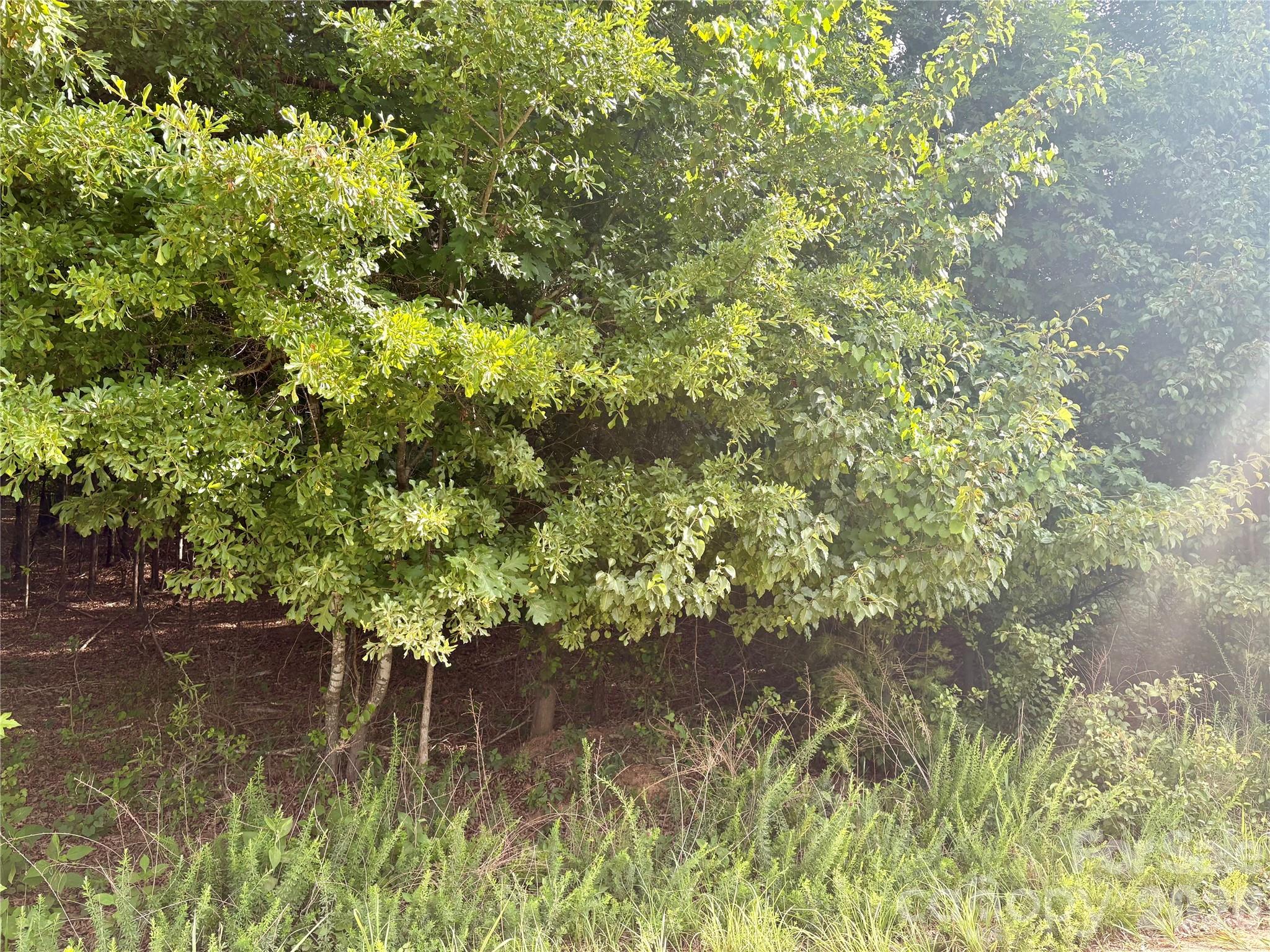 0 Clearwater Road Shelby, NC 28152 - Photo 3 of 20