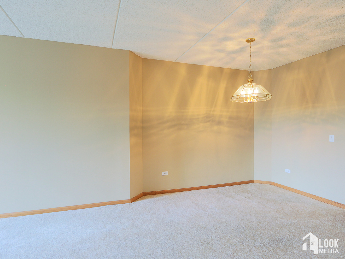 5 West Central Road, Unit 207 Mount Prospect, IL 60056 - Photo 5 of 29 a view of an empty room with a window