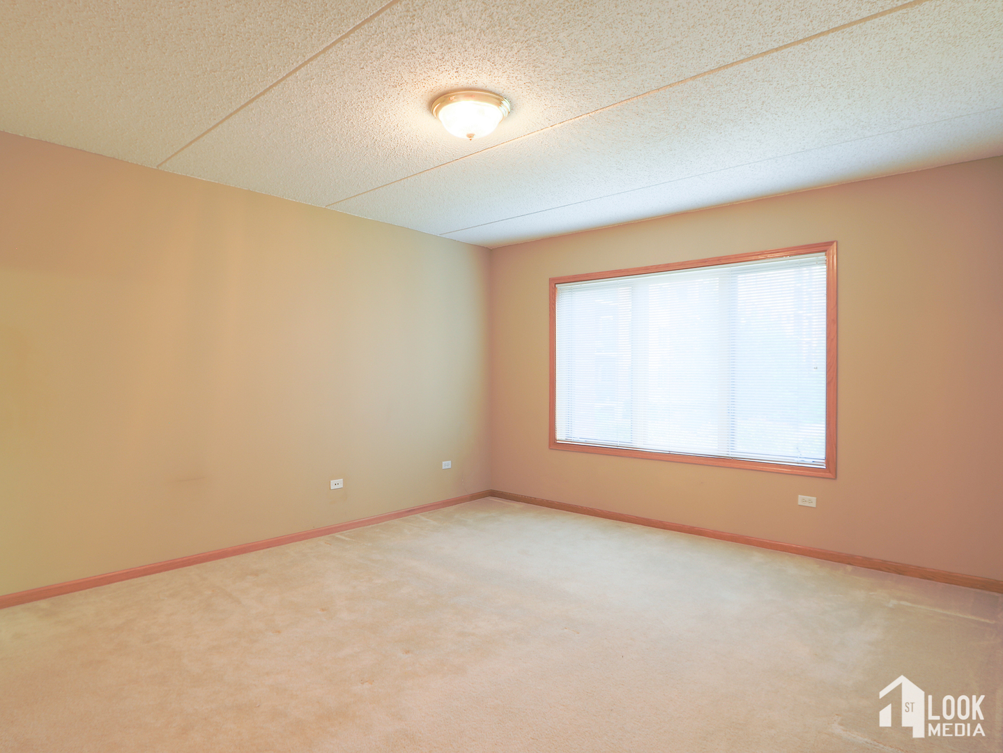 5 West Central Road, Unit 207 Mount Prospect, IL 60056 - Photo 9 of 29 an empty room with a window