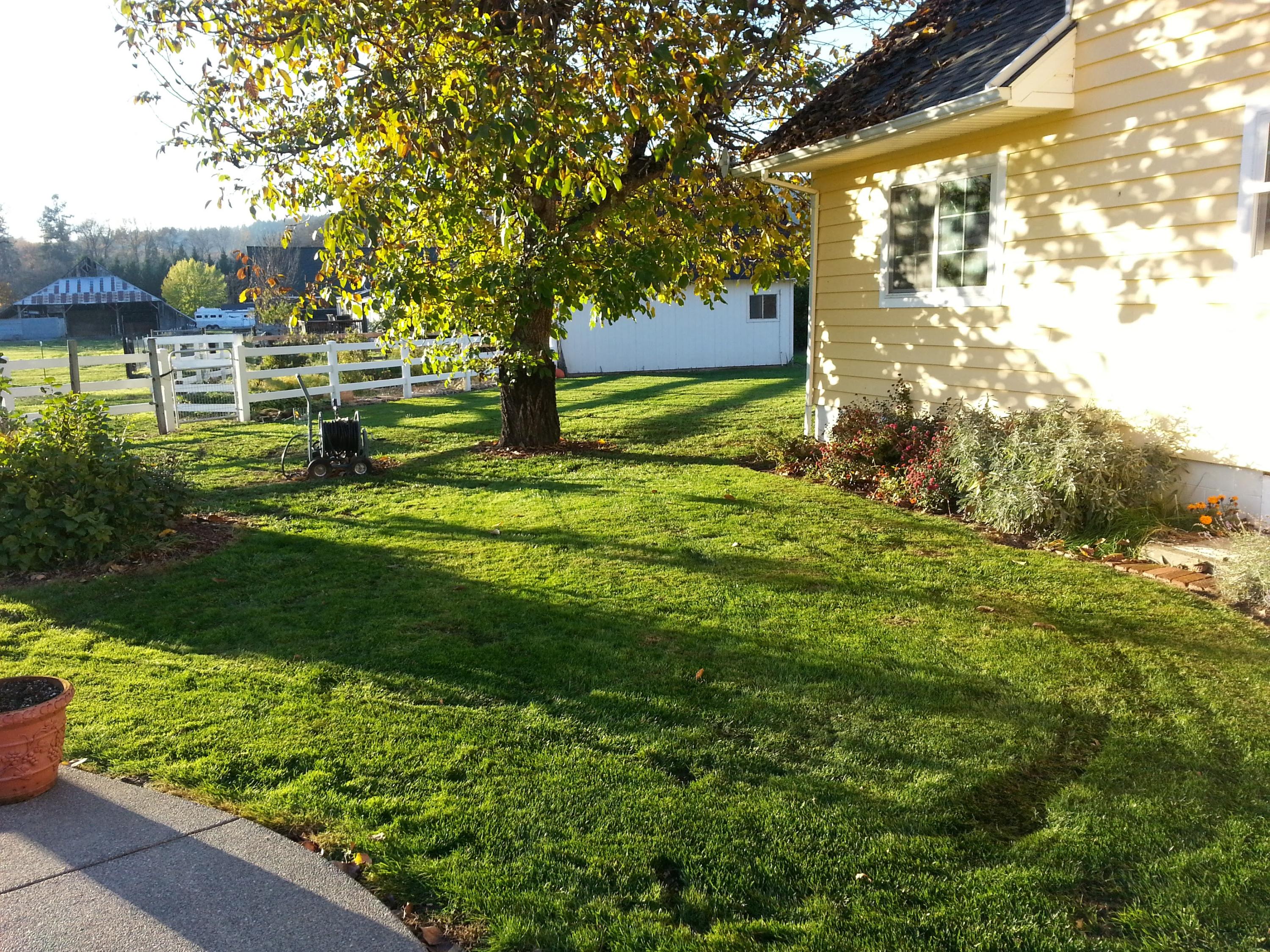 3633 Helms Road Grants Pass, OR 97527 - Photo 47 of 59 20141116_155806