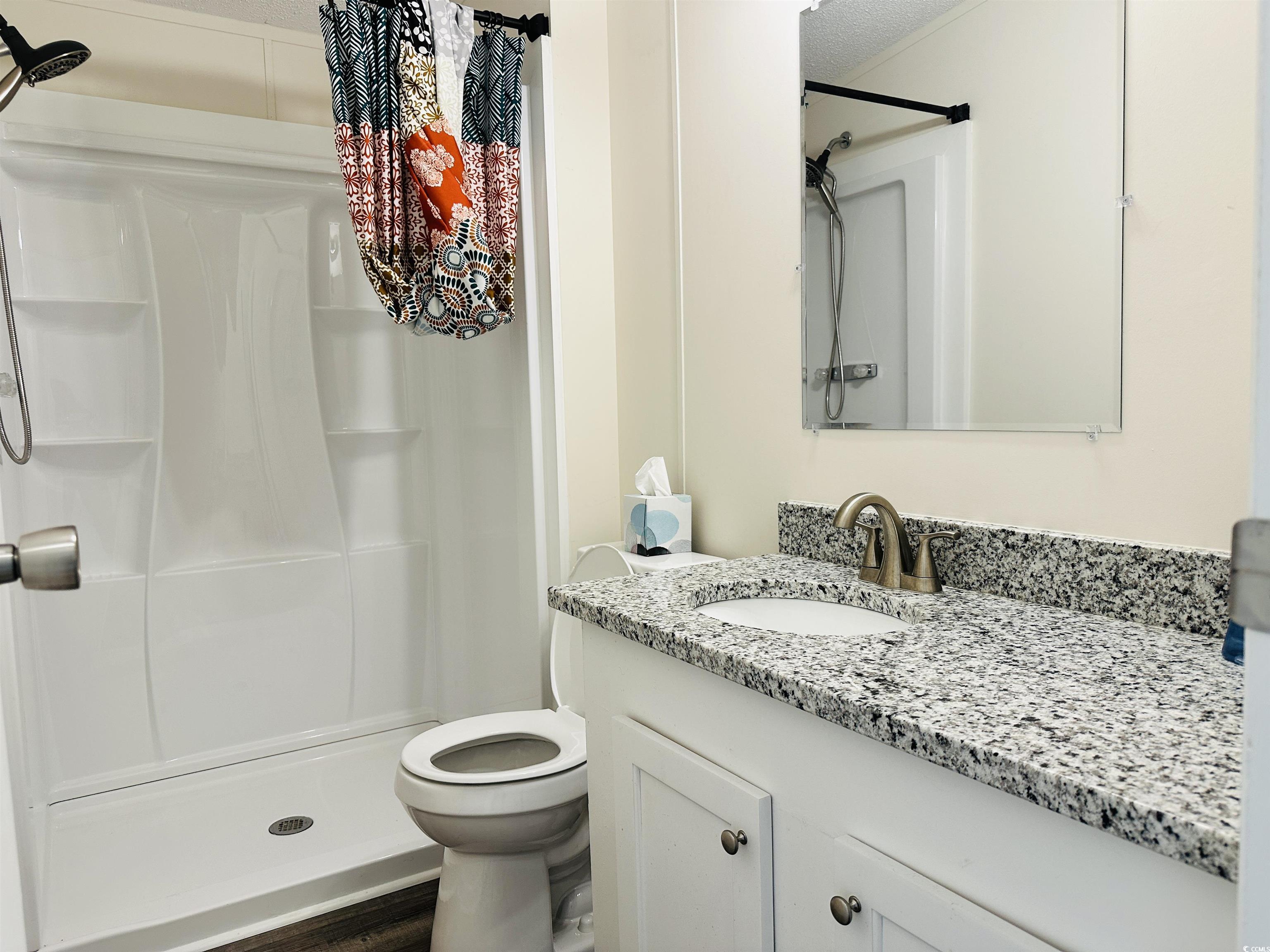 2067 Willow Creek Road Effingham, SC 29541 - Photo 17 of 40 Full bathroom featuring a shower stall, vanity, and a textured ceiling