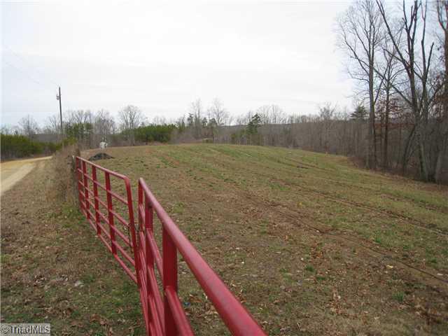 Tbd Bumpy Hollow Road Walnut Cove, NC 27052 - Photo 12 of 16 Other. TRUFFLE FIELD