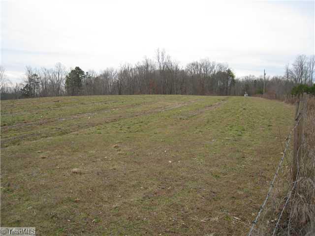 Tbd Bumpy Hollow Road Walnut Cove, NC 27052 - Photo 13 of 16 Other. TRUFFLE FIELD