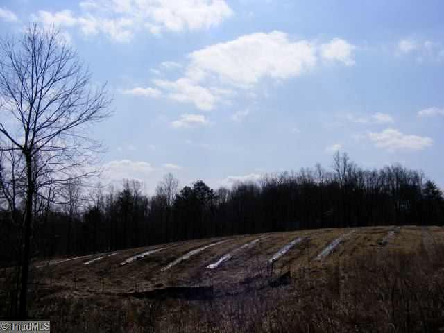 Tbd Bumpy Hollow Road Walnut Cove, NC 27052 - Photo 5 of 16 Other. TRUFFLE FIELD, 1.5+/- AC