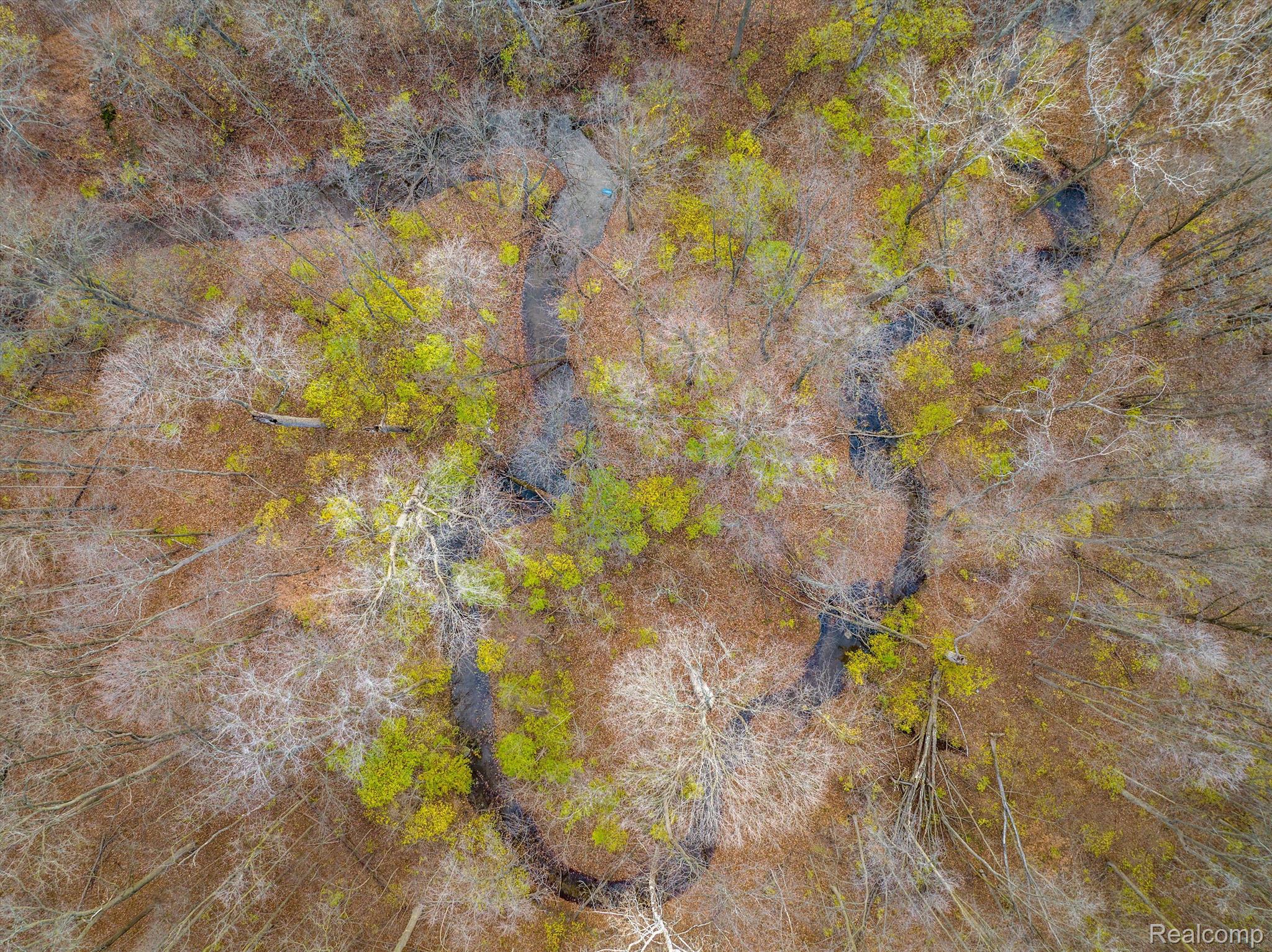50300 Hanford Road Canton, MI 48187 - Photo 29 of 31 Aerial view of lot
