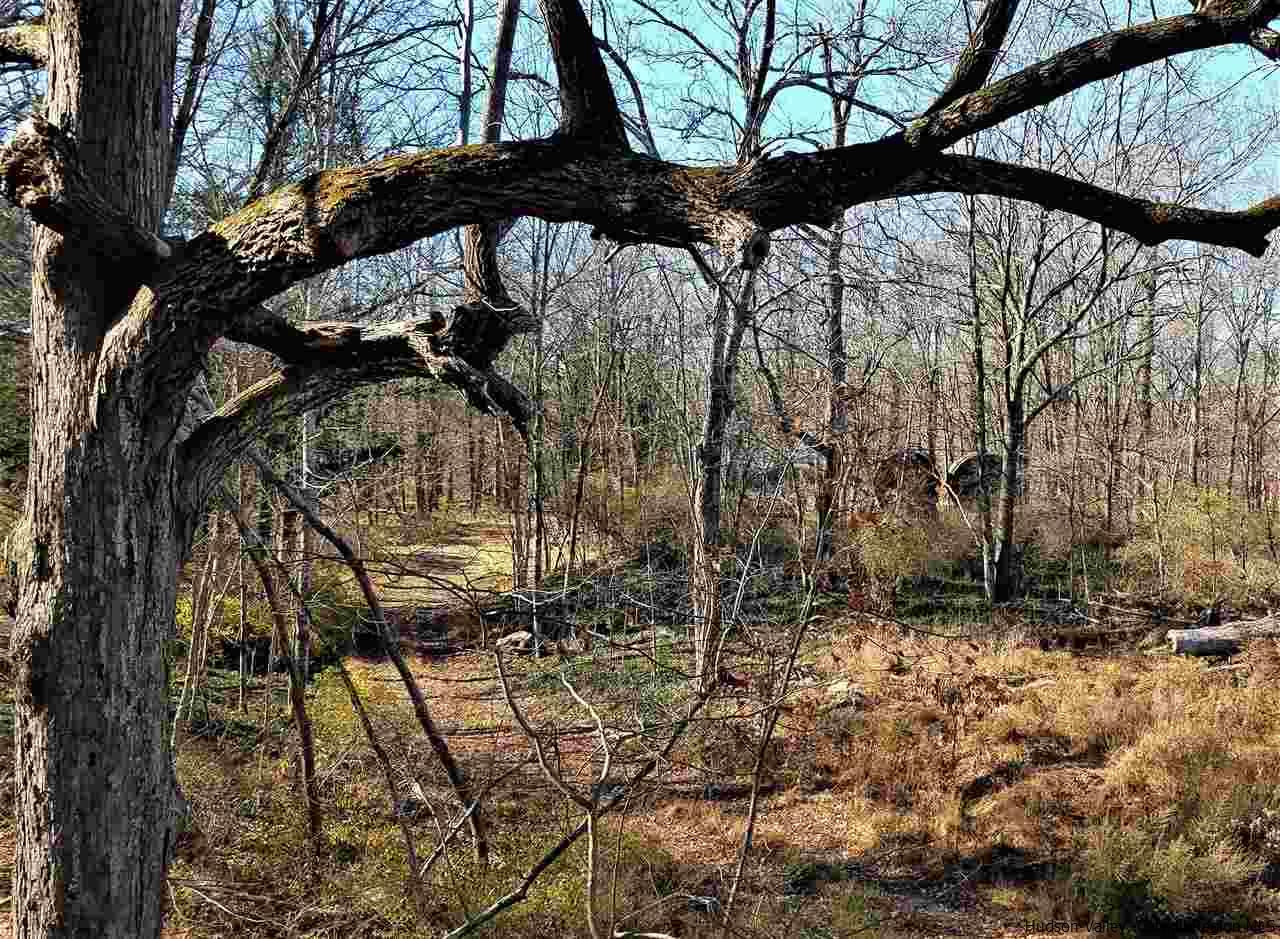 2 Towpath Road, Unit 17 DEVOU LANE Accord, NY 12404 - Photo 20 of 35 Photo 20
