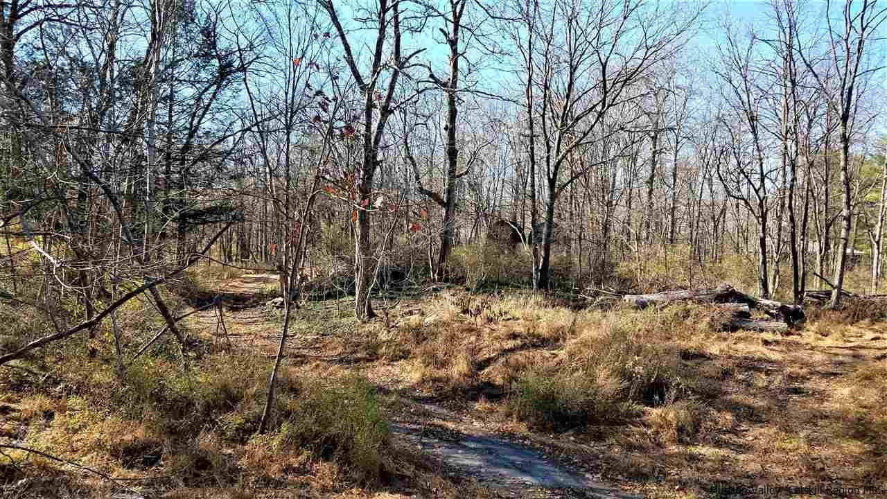 2 Towpath Road, Unit 17 DEVOU LANE Accord, NY 12404 - Photo 21 of 35 Photo 21