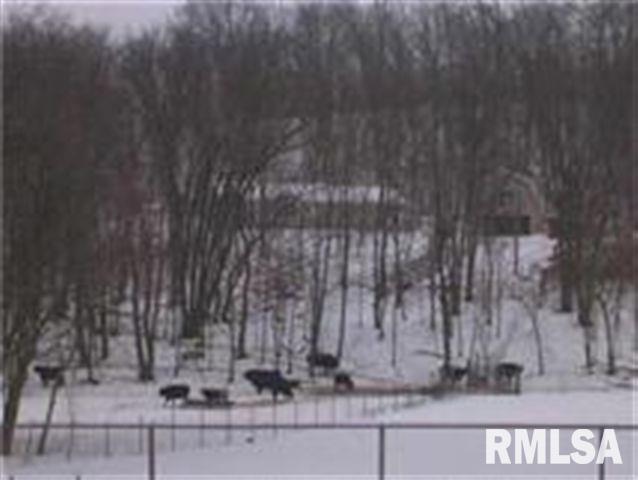 14500 79th Avenue West Taylor Ridge, IL 61284 - Photo 2 of 5 Gallery Image 2