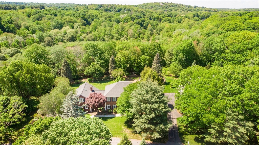 34 Solomon Pierce Road Lexington, MA 02420 - Photo 41 of 42 a view of a lush green forest with lots of trees