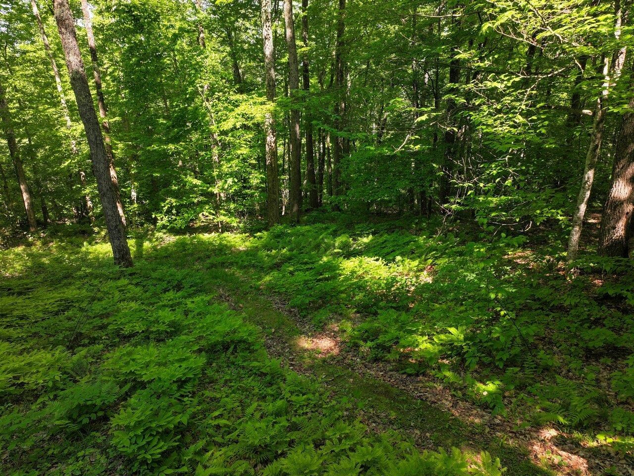 1273 Hebert Road Williamstown, VT 05679 - Photo 23 of 40