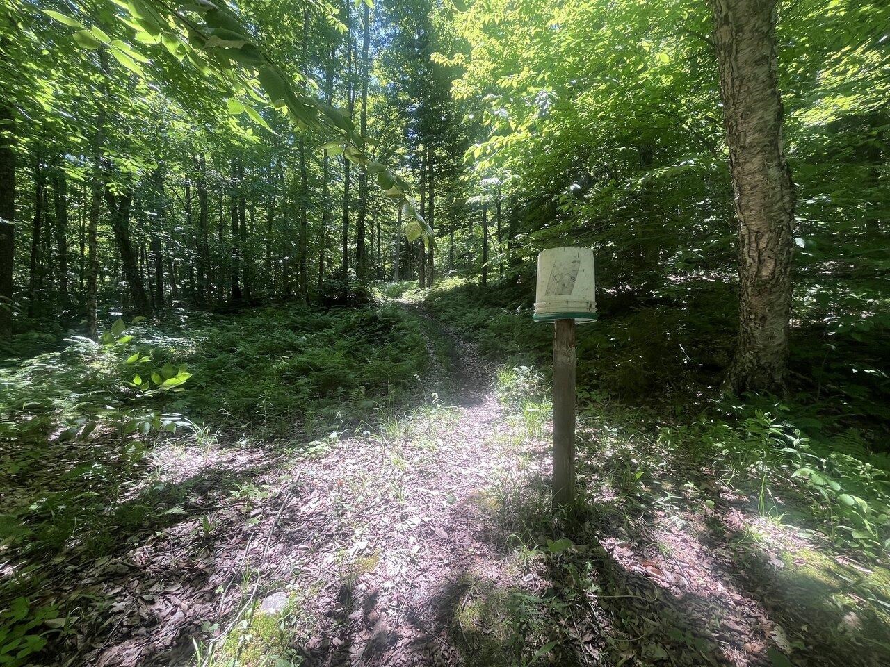1273 Hebert Road Williamstown, VT 05679 - Photo 25 of 40
