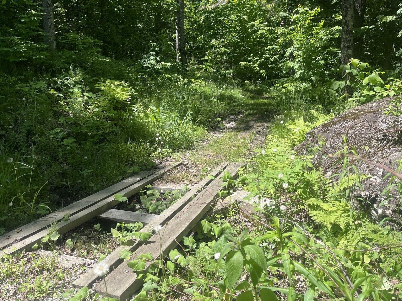 1273 Hebert Road Williamstown, VT 05679 - Photo 27 of 40