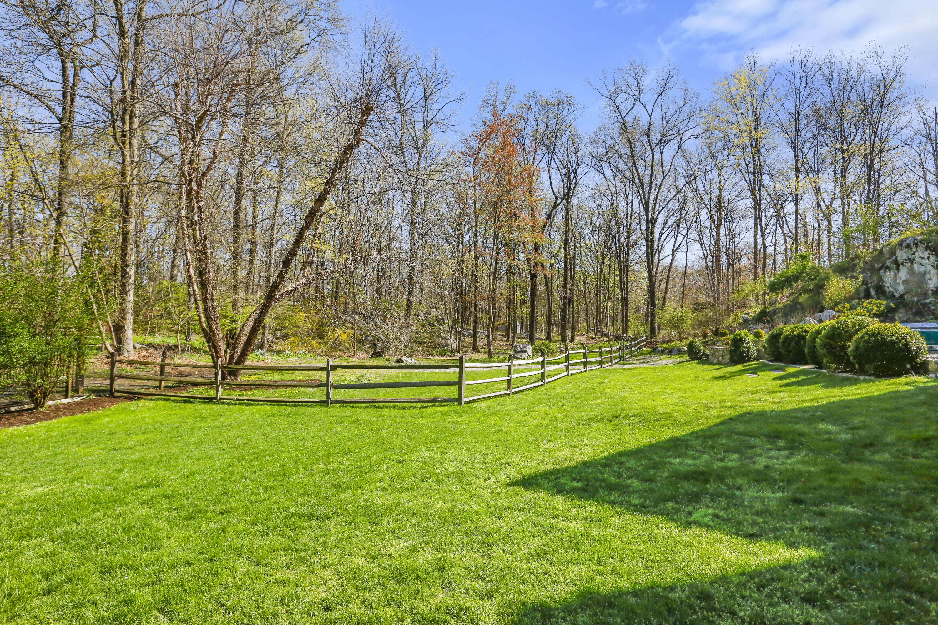 23 Fairmead Road Darien, CT 06820 - Photo 39 of 47 a view of yard with swimming pool and trees