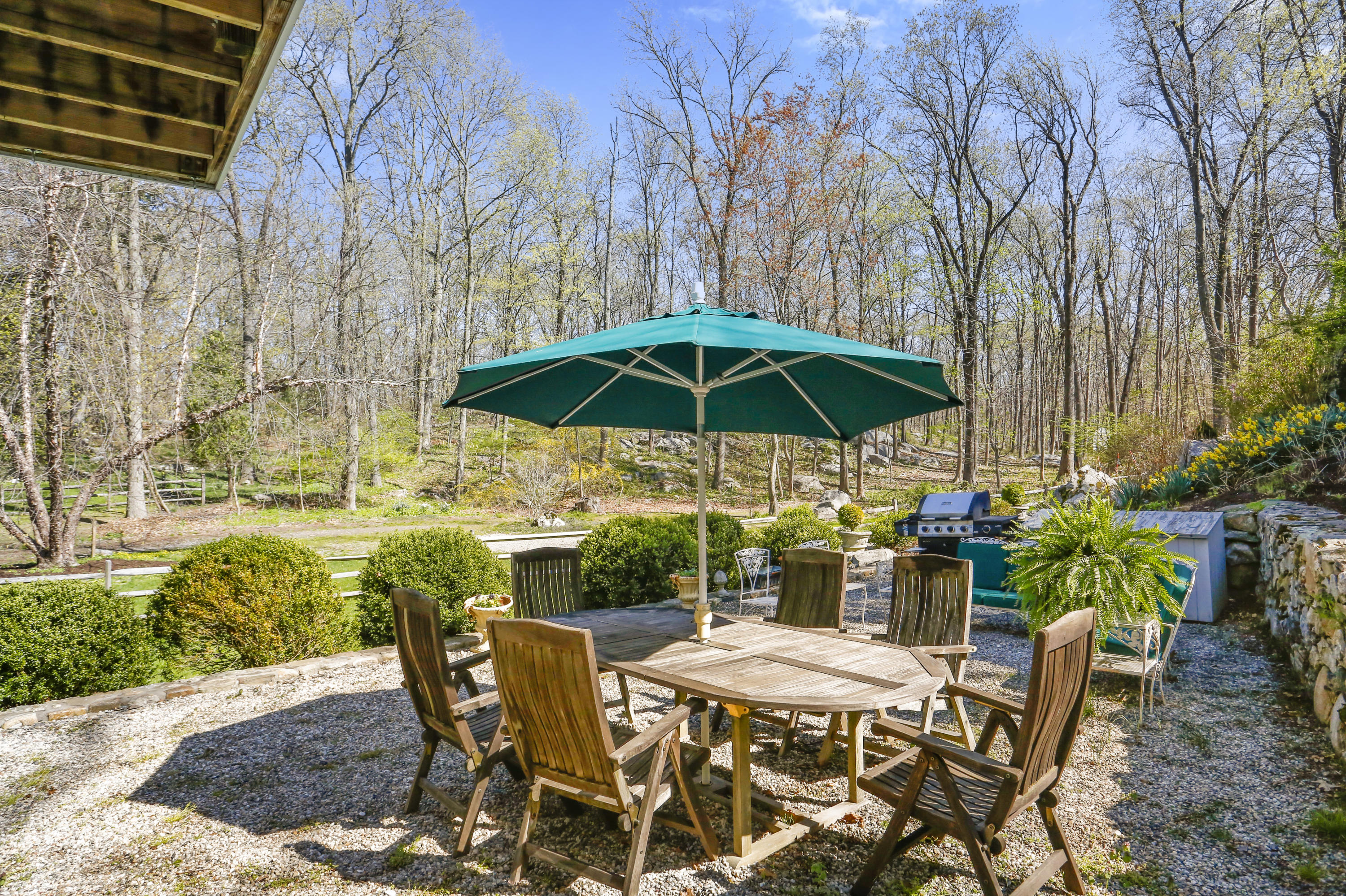 23 Fairmead Road Darien, CT 06820 - Photo 42 of 47 a view of backyard with seating space and trees