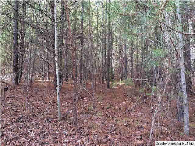 734 Valley Grove Road, Unit 15 4 ACR Remlap, AL 35133 - Photo 24 of 32