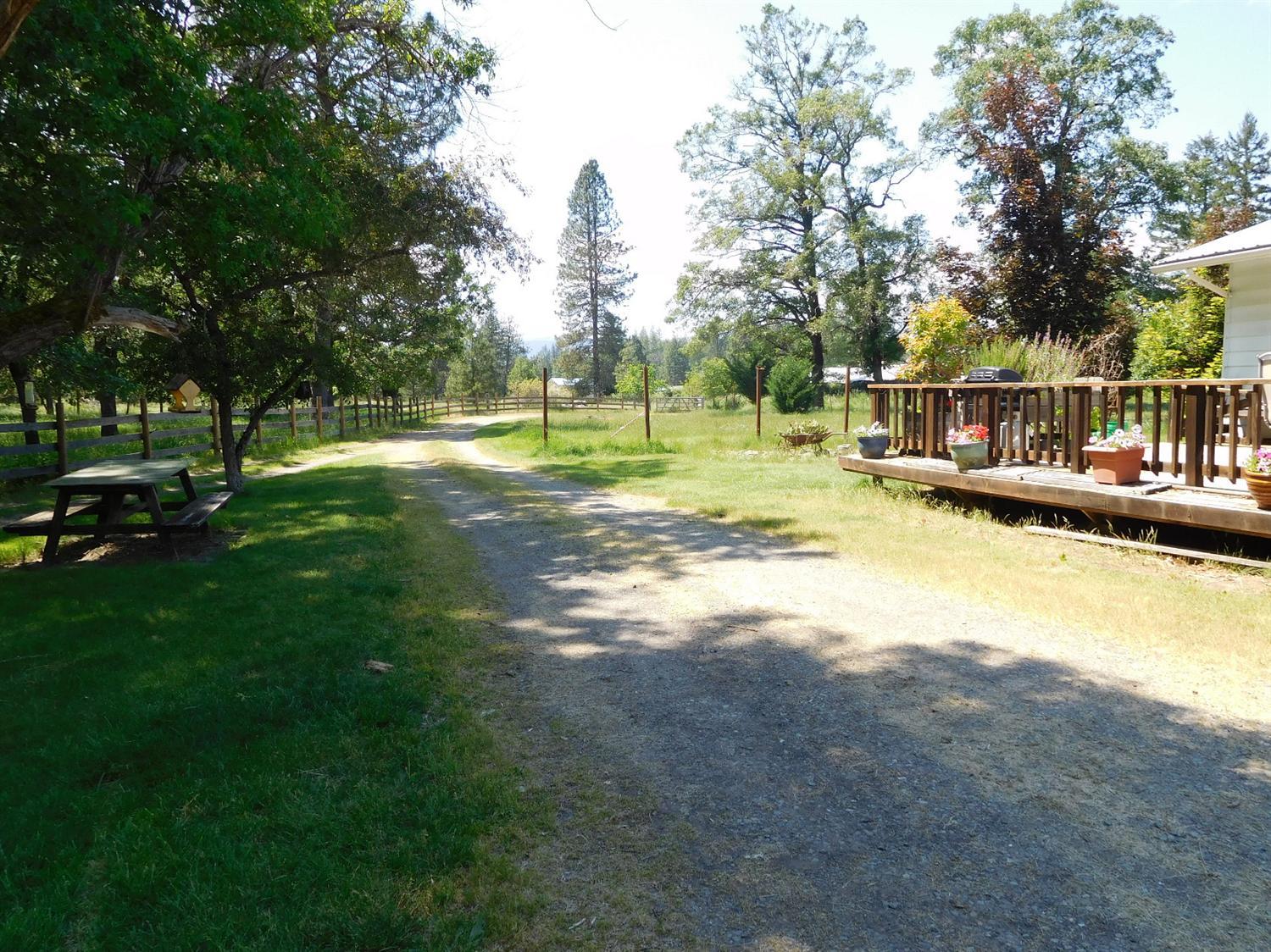 Taken near the circular part of driveway