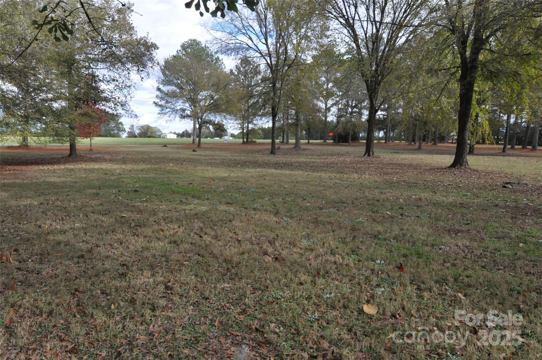 1126 Williamsville Church Road Chester, SC 29706 - Photo 22 of 33 a view of outdoor space with trees