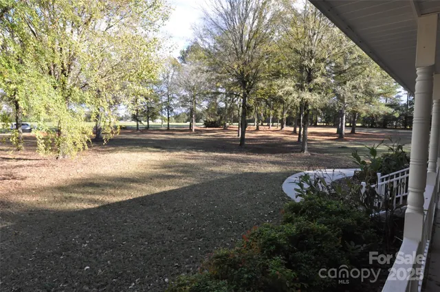 a view of yard with green space and trees all around