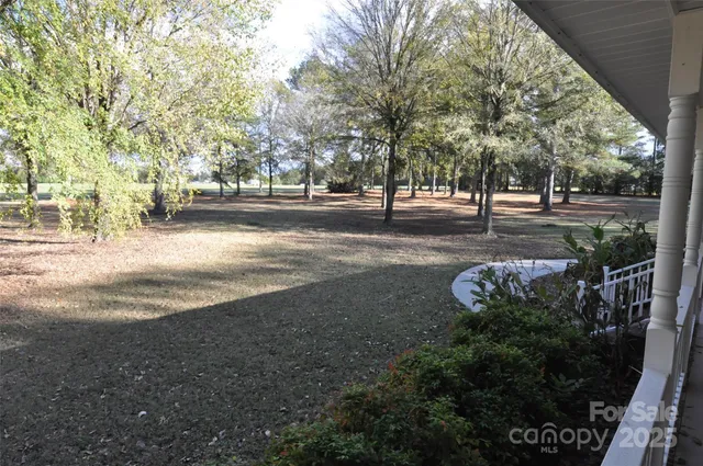 a view of a street with yard and tree s