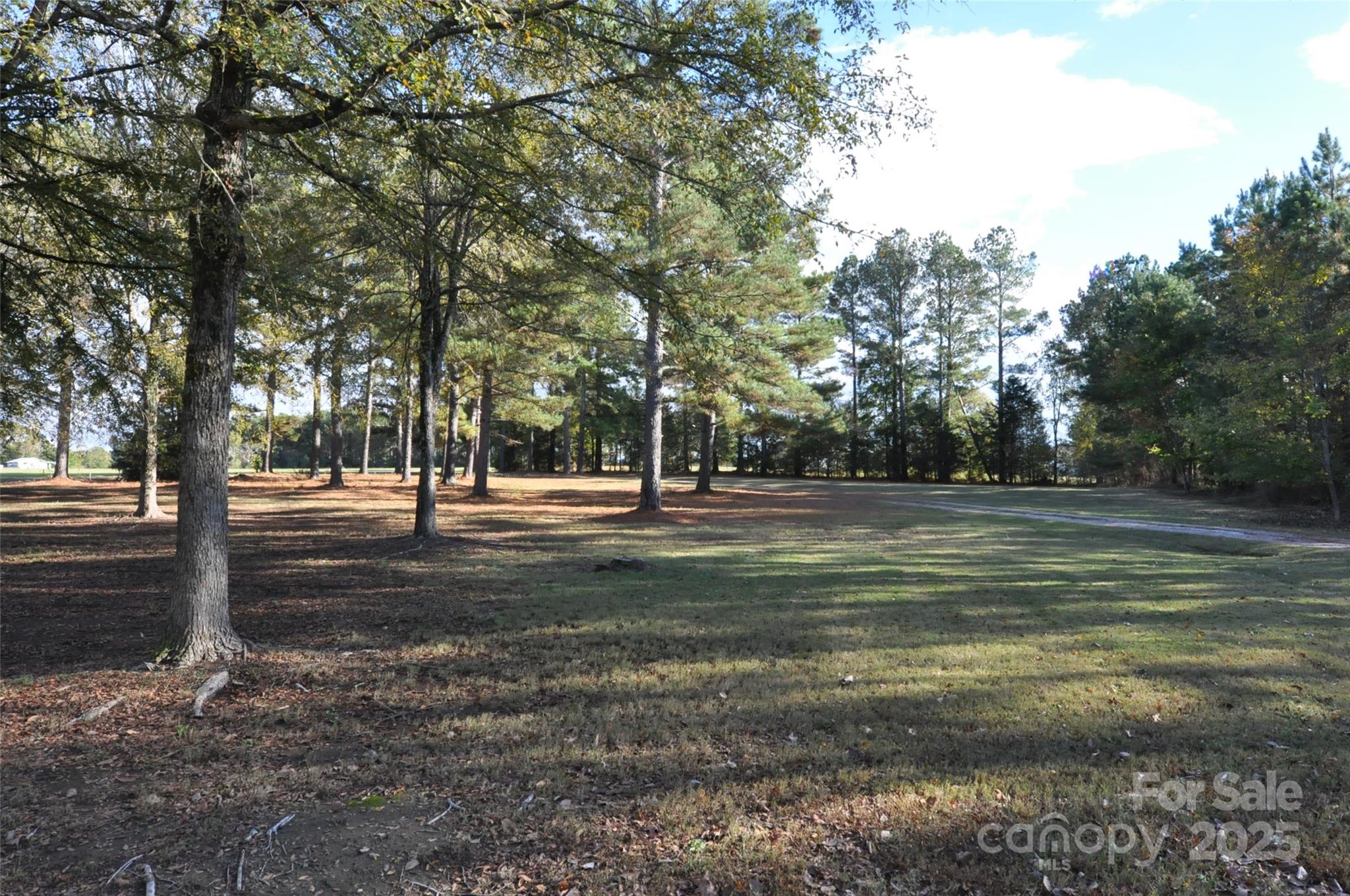 1126 Williamsville Church Road Chester, SC 29706 - Photo 33 of 33 a view of park space