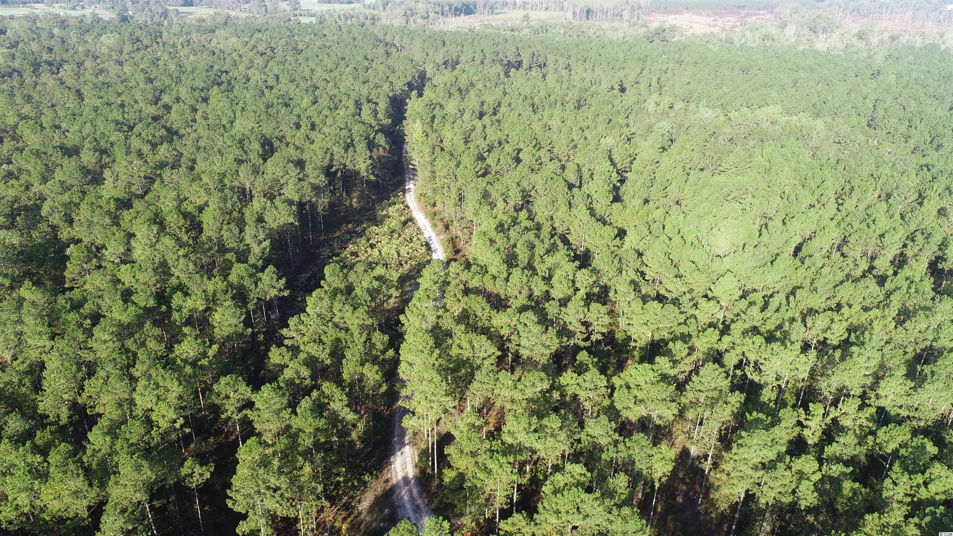 41 Highway 41 Hemingway, SC 29554 - Photo 10 of 12 Gallery Image 10