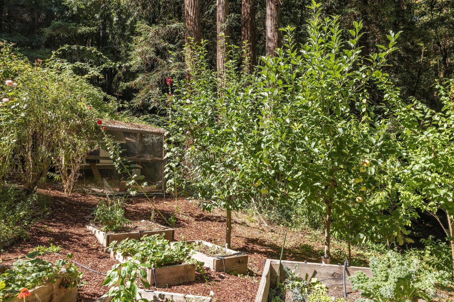 17970 Duncan Road Guerneville, CA 95446 - Photo 17 of 77