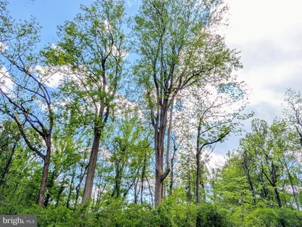 $230,000 | 3964 Hidden Valley Lane, Linden, VA 22642