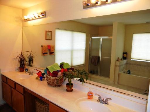 1782 Prairie Ridge Circle Lindenhurst, IL 60046 - Photo 10 of 15 a bathroom with a sink and a mirror