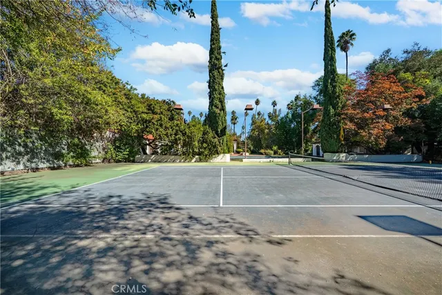 a living room with a fireplace a rug potted plant and a large window