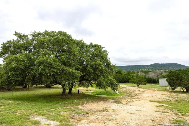 a view of a garden with an outdoor space