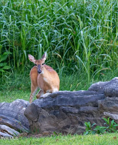 $550,000 | Tbd Mandalay Lane, Unit 52A1A, Abingdon, VA 24211