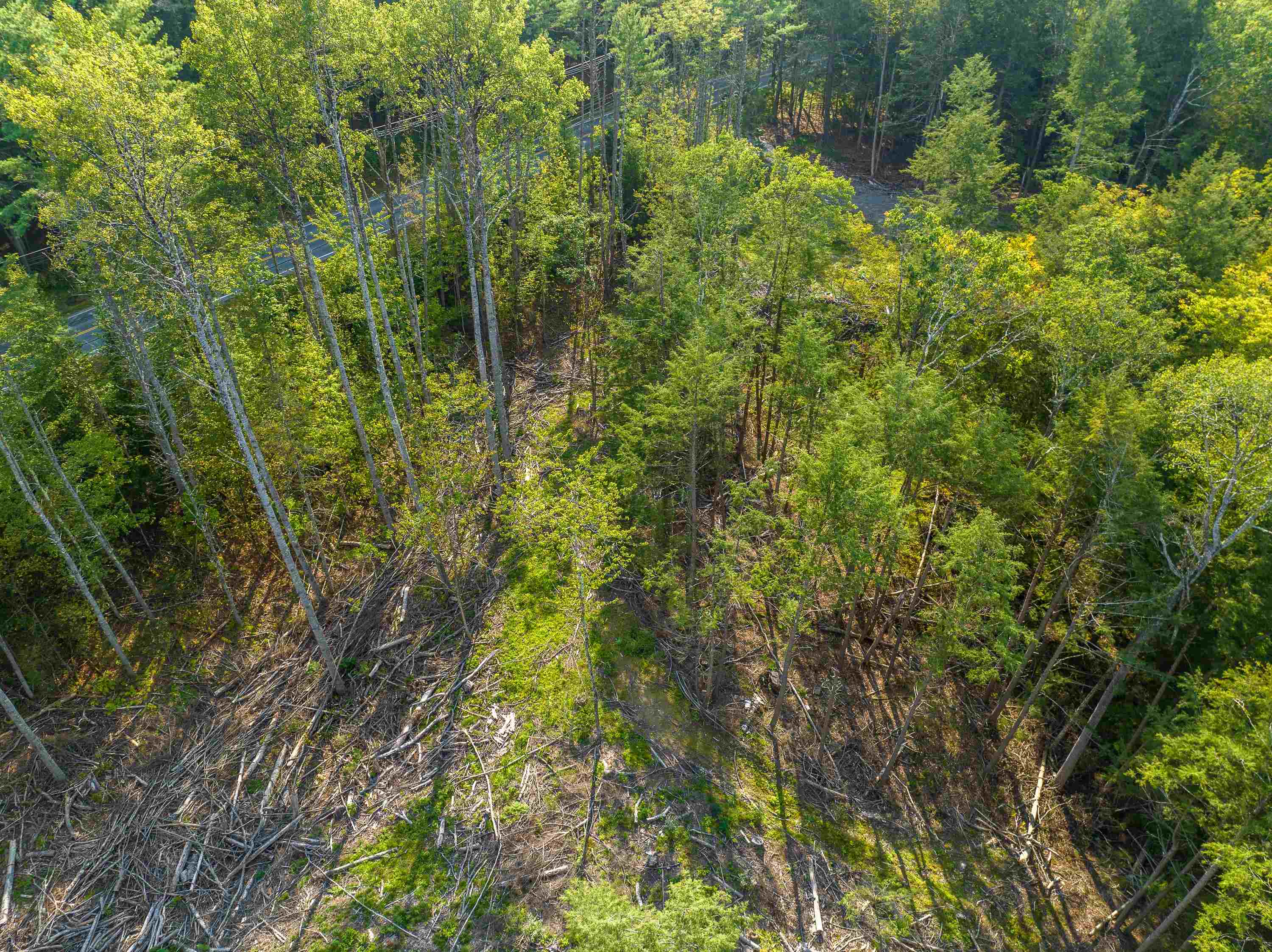 0 Lisbon Road, Unit M:13 L: 69 & 71 Bath, NH 03740 - Photo 23 of 28