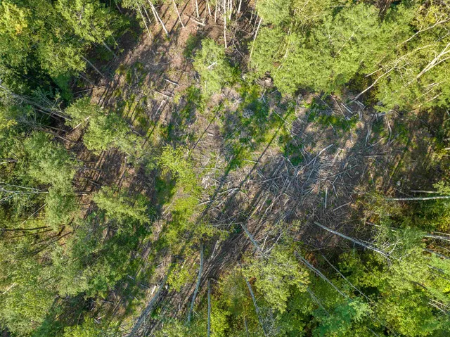 $175,000 | 0 Lisbon Road, Unit M:13 L: 69 & 71, Bath, NH 03740